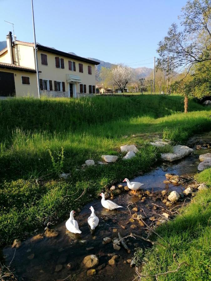 Agriturismo Da Andreina Borso del Grappa Bagian luar foto