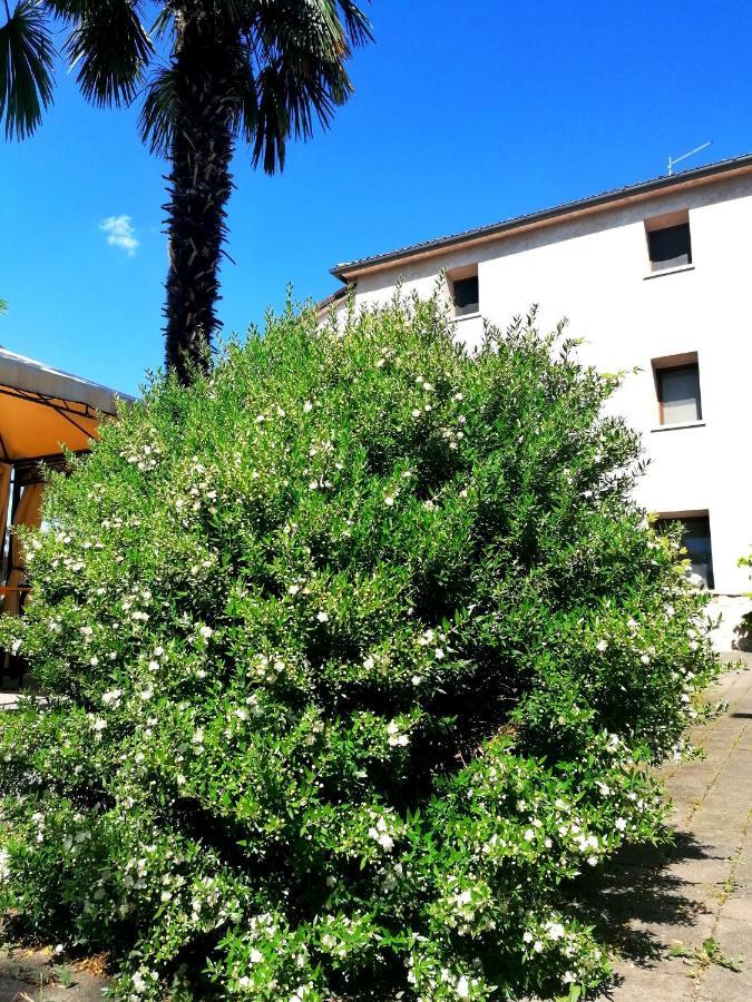 Agriturismo Da Andreina Borso del Grappa Bagian luar foto